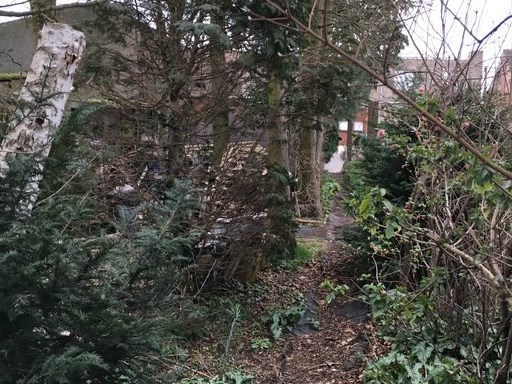 verwilderde tuin snoeien, bos rooien, in Eeklo, Zelzate, Ertvelde, Assenede, Bassevelde, Boekhoute, Evergem, Terneuzen, Sas van Gent, Sleidinge, Oosteeklo