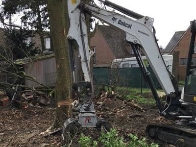 Verwijderen bomen en boomwortels in Eeklo, Zelzate, Ertvelde, Assenede, Bassevelde, Boekhoute, Evergem, Terneuzen, Sas van Gent, Sleidinge, Oosteeklo