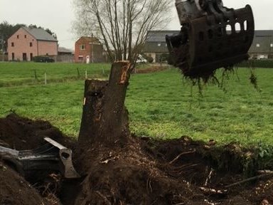 uitgraven diepe wortel boom in Eeklo, Zelzate, Ertvelde, Assenede, Bassevelde, Boekhoute, Evergem, Terneuzen, Sas van Gent, Sleidinge, Oosteeklo