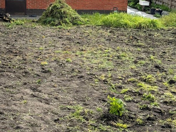 onderhoud tuin en verwijderen onkruid in Zelzate, Ertvelde, Assenede, Bassevelde, Boekhoute, Evergem, Terneuzen, Sas van Gent, Sleidinge, Oosteeklo