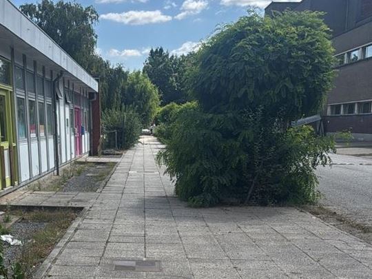 onderhoud en snoeien school in Eeklo, Zelzate, Ertvelde, Assenede, Bassevelde, Boekhoute, Evergem, Terneuzen, Sas van Gent, Sleidinge, Oosteeklo