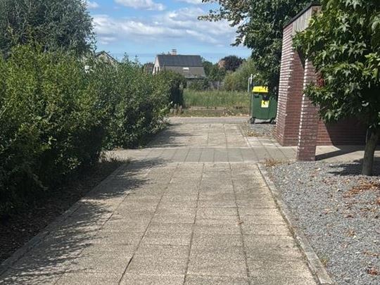 Onderhoud en snoei bedrijf in Eeklo, Zelzate, Ertvelde, Assenede, Bassevelde, Boekhoute, Evergem, Terneuzen, Sas van Gent, Sleidinge, Oosteeklo