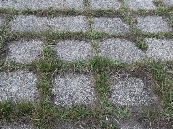 Onderhoud opritten, parkeerplaats in Eeklo, Zelzate, Ertvelde, Assenede, Bassevelde, Boekhoute, Evergem, Terneuzen, Sas van Gent, Sleidinge, Oosteeklo