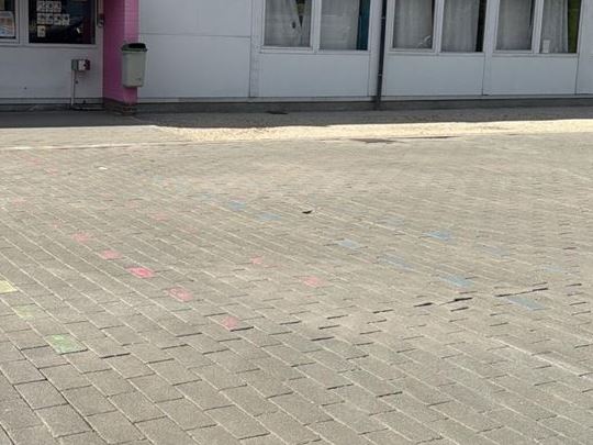 opkuis, onderhoud schoolterrein in Eeklo, Zelzate, Ertvelde, Assenede, Bassevelde, Boekhoute, Evergem, Terneuzen, Sas van Gent, Sleidinge, Oosteeklo