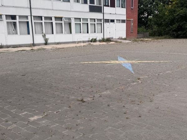 onderhoud schoolterrein in Zelzate, Ertvelde, Assenede, Bassevelde, Boekhoute, Evergem, Terneuzen, Sas van Gent, Sleidinge, Eeklo, Oosteeklo