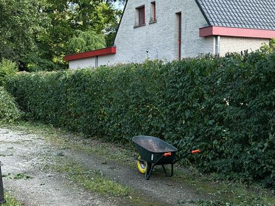 snoeien haag in Zelzate, Ertvelde, Assenede, Bassevelde, Boekhoute, Evergem, Terneuzen, Sas van Gent, Sleidinge, Oosteeklo