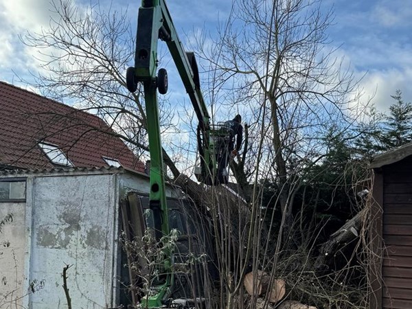 Verwijderen en zagen boomstammen in Eeklo, Zelzate, Ertvelde, Assenede, Bassevelde, Boekhoute, Evergem, Terneuzen, Sas van Gent, Sleidinge, Oosteeklo