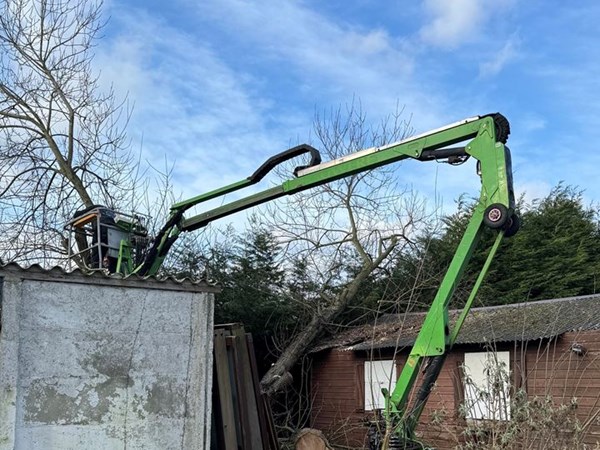 verwijderen boom met hoogtewerker in Eeklo, Zelzate, Ertvelde, Assenede, Bassevelde, Boekhoute, Evergem, Terneuzen, Sas van Gent, Sleidinge, Oosteeklo