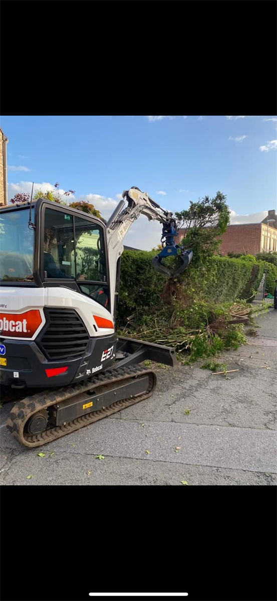 voorbereidende werken rooien verwijderen bomen in Eeklo, Zelzate, Ertvelde, Assenede, Bassevelde, Boekhoute, Evergem, Terneuzen, Sas van Gent, Sleidinge, Oosteeklo